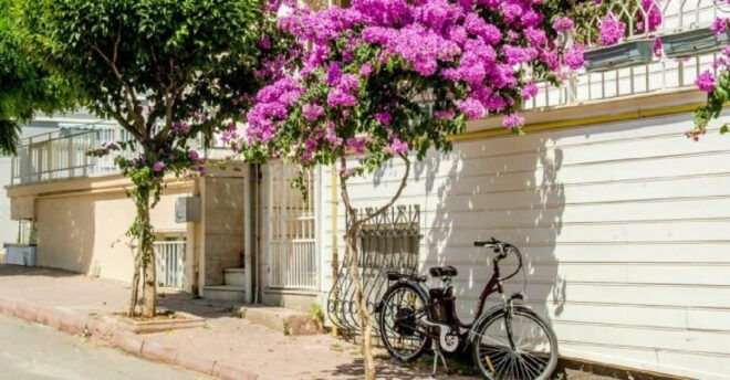 Princes Island Group Tour - Heybeliada Exploration