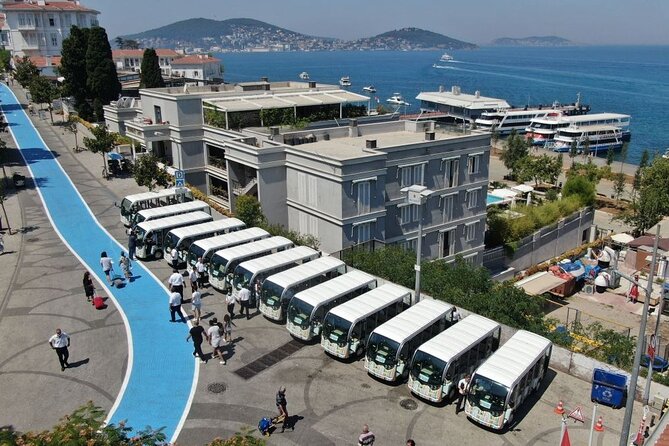 Princes Island Tour From Istanbul With Lunch - Tour Highlights
