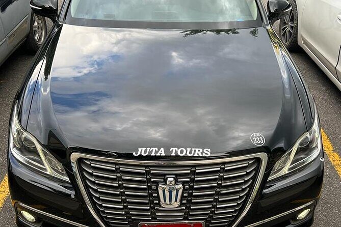 Princess Grand Jamaica Private Transport Experience - What Is the Princess Grand Jamaica Private Transport Experience?