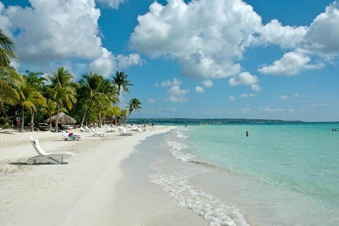 Princess Grand/Senses Mangrove Airport Transfer from Montego Bay - The Sum Up: The Best Choice for a Stress-Free Start or End in Jamaica