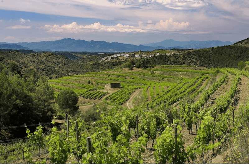 Priorat: Jeep Tour & Foodies Lunch From Barcelona - A Day of Exploration
