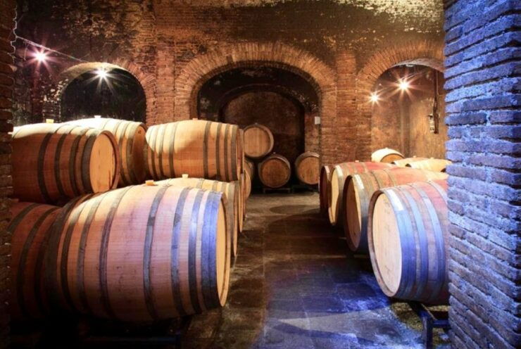 Priorat Tour: 3 Wineries and Olive Oil Tasting Experience - Tour Experience Highlights