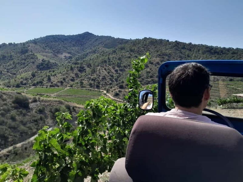 Priorat tour to 3 small wineries and hotel pick-up - A Deep Dive into the Priorat Wine Experience