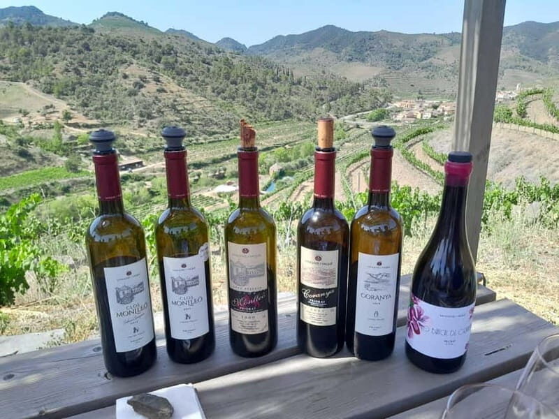 Priorat tour to 3 small wineries and hotel pick-up - Final Thoughts: Who Should Consider This Tour?