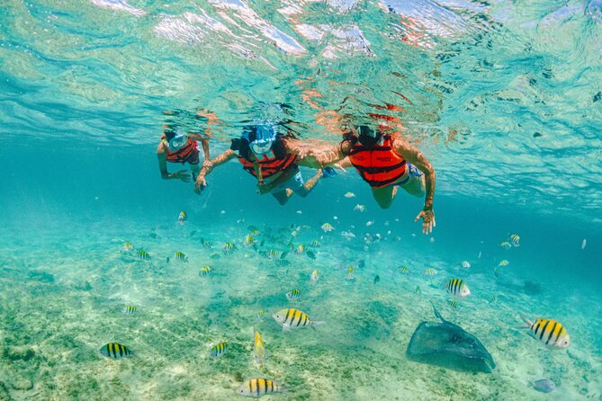 Priority Access: Combo Tour: Xcaret, Xel-Ha, Xplor and Chichen Itzá - Additional Details