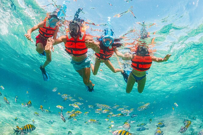 Priority Access: Xcaret Day Trip Night Show Transportation *Official Product* - Insider Tips and Recommendations