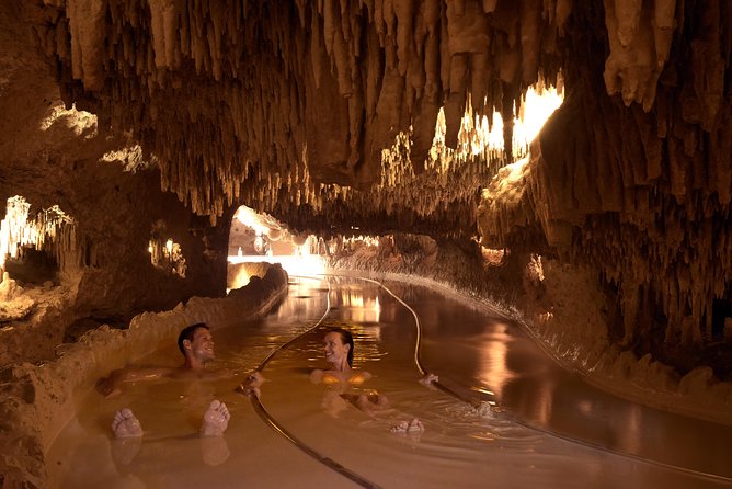 Priority Access: XENSES With Transportation *Official Product* - The Sum Up