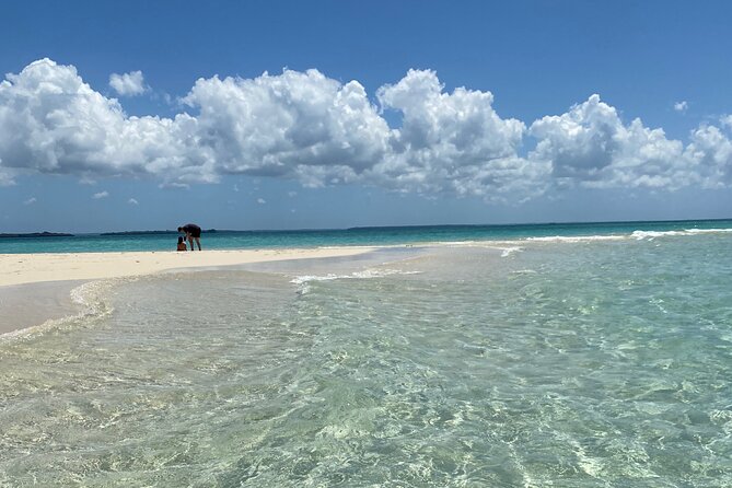 Prison Island + Nakupenda Tour - Inclusions and Exclusions