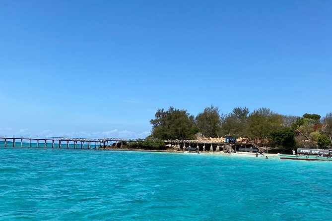 Prison Island + Nakupenda Tour - Reviews and Traveler Feedback