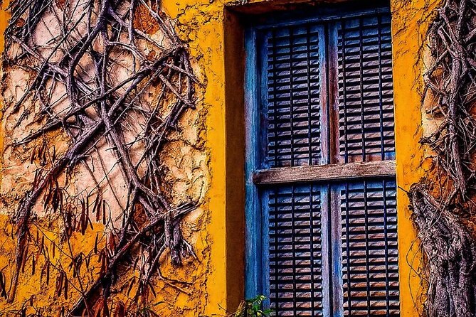 Prison Island Tour, Stone Town, Secret Garden, Spice Tour, Emerson Restaurant - Exploring Stone Towns Charm