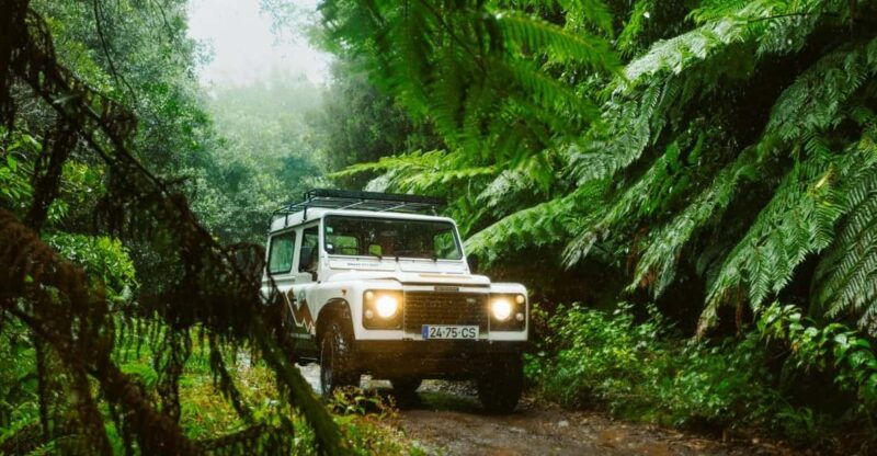 Priv. East: 4x4 Tour|Pico do Areeiro|Santana Typical Houses| - Introduction