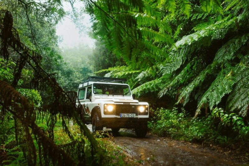 Priv. East: 4x4 Tour|Pico do Areeiro|Santana Typical Houses| - FAQ