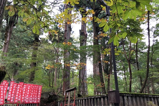Privaate Morning Hike Around Nikko Toshogu Shrine - Inclusions