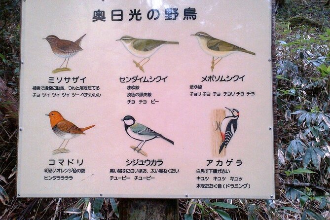 Privaate Morning Hike Around Nikko Toshogu Shrine - Directions
