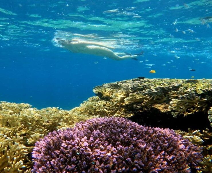Privat Boat: Snorkelling Around the Gilis With Go Pro - Booking Information