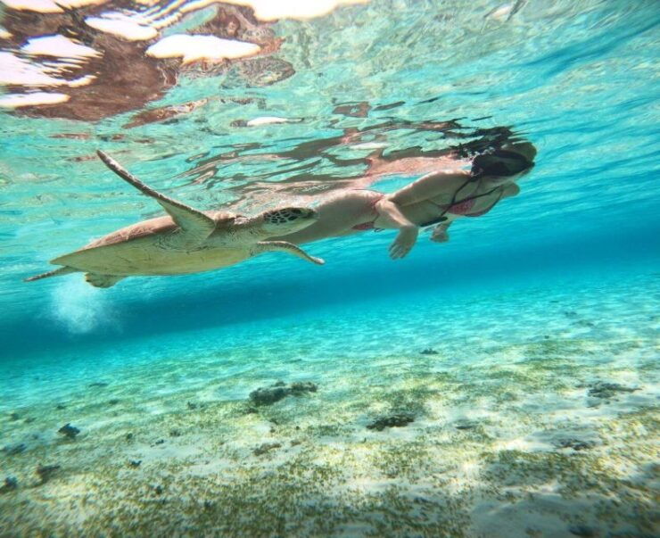 Privat Boat: Snorkelling Around the Gilis With Go Pro - Activity Details