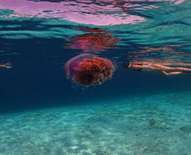 Privat Boat: Snorkelling Around the Gilis With Go Pro - Important Information