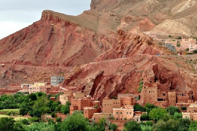 Privat Day Trip to Ourika Valley From Marrakech - Review Highlights