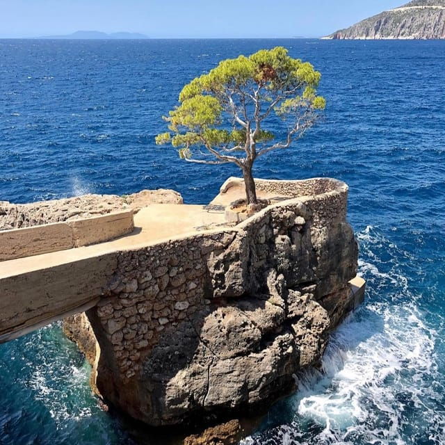 Privat - Hvar South Shore and Pakleni Islands Experience. - What to Expect