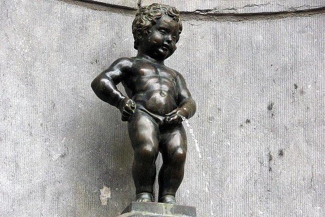 Privat Tour : Half Day in Brussels - The Sum Up