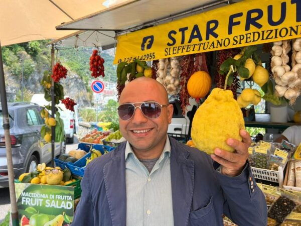 Privat Tour Into Amalfi Coast - Company Services and Drivers