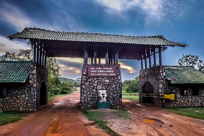 Private 02 Day Leopard Safari in Yala from Colombo - The Itinerary Breakdown: What to Expect