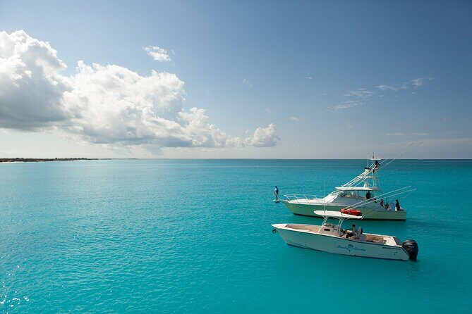 Private 1/2 Day Afternoon Bottom Fishing Charter on "Shady Grady" - Setting Out in Style: What the Experience Looks Like