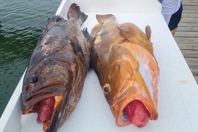 Private 1/2 Day Afternoon Bottom Fishing Charter on "Shady Grady" - Comfort and Convenience: What You Need to Know