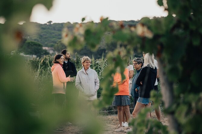 Private 1/2 Day Wine Tour St-Tropez - Contact Information and Further Details