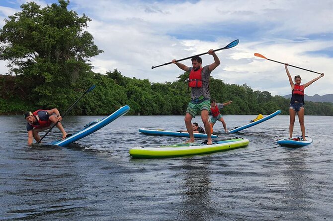 Private 1.5 - 2 Hour Afternoon SUP Class for All Ages and Levels - Class Details