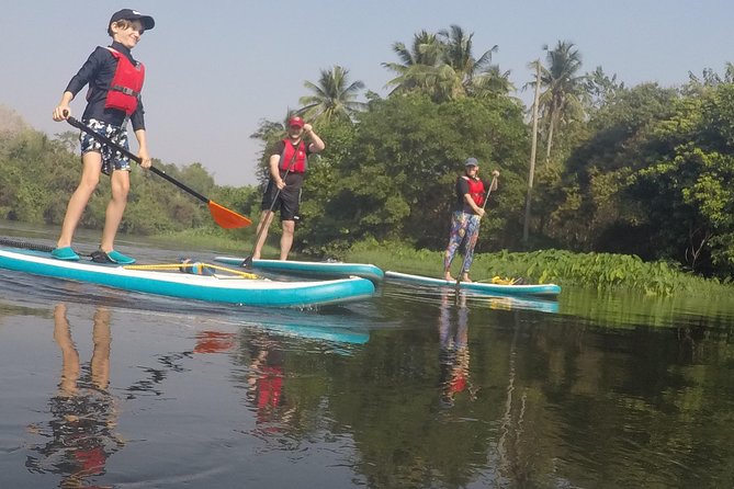 Private 1.5 - 2 Hour Afternoon SUP Class for All Ages and Levels - Sunset Paddle Option