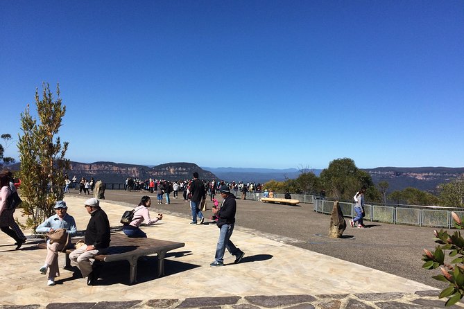 PRIVATE 1 Day Full Blue Mountains Tour, Koalas, Cruise Return. - Traveler Photos