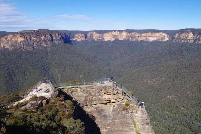 PRIVATE 1 Day Full Blue Mountains Tour, Koalas, Cruise Return. - Blue Mountains Exploration