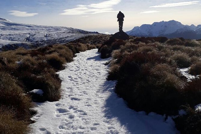 Private 1-Day Heli-Hike From Luxmore Hut on the Kepler Track  - Te Anau - Inclusions