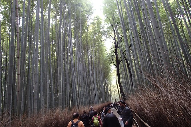 Private 1 Day Kyoto Tour Including Arashiyama Bamboo Grove and Golden Pavillion - Golden Pavillion