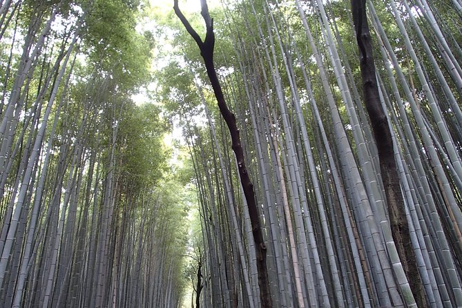 Private 1 Day Kyoto Tour Including Arashiyama Bamboo Grove and Golden Pavillion - Common Questions