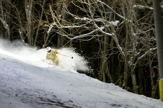 Private 1 Day Ski Tour from Nagano Station - Exploring the Private 1 Day Ski Tour from Nagano Station