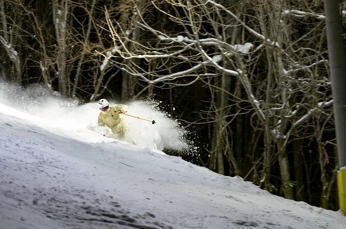 Private 1 Day Ski Tour from Nagano Station - Analyzing Value & Who Its Best For