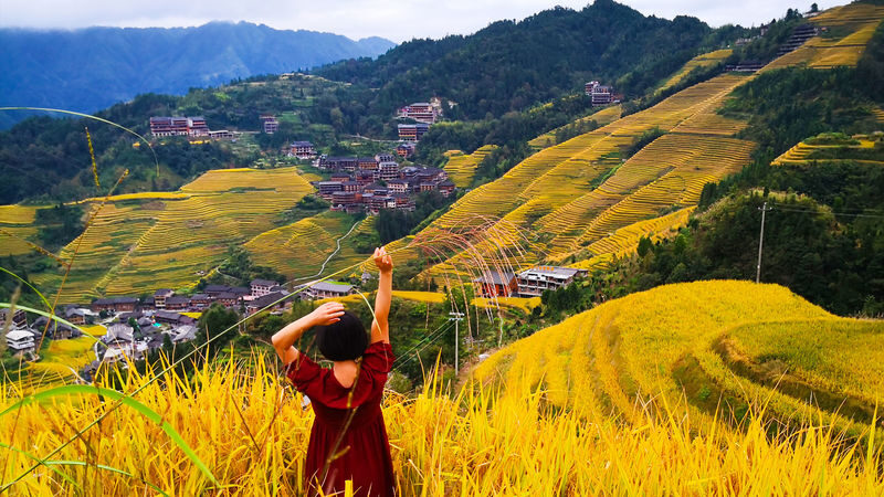Private 1-Day Tour of Longji Pingan Rice Terraces, Guilin - Three hours is useful, but not endless
