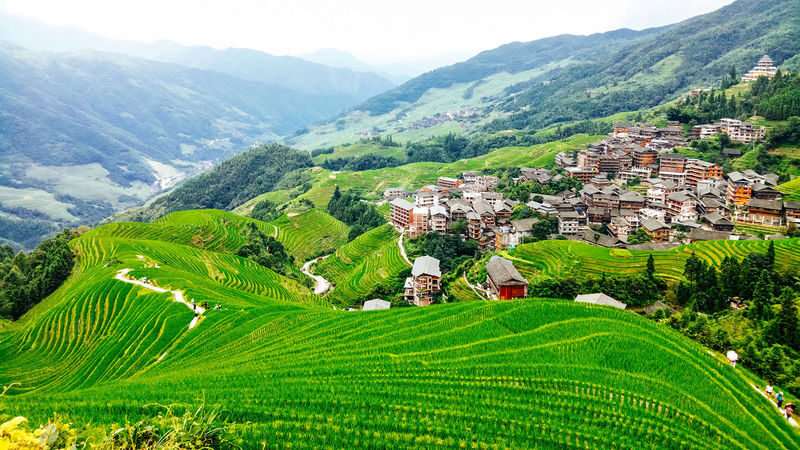 Private 1-Day Tour of Longji Pingan Rice Terraces, Guilin - What the private format does, and does not, buy you