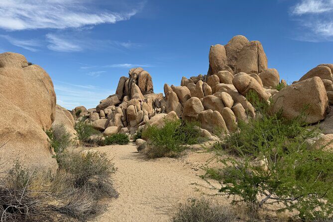 Private 1 Day Tour to Joshua Tree National Park - Practical Details & What To Expect