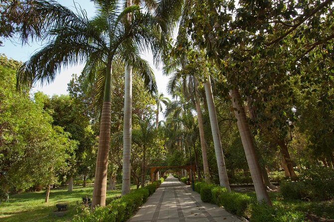 Private 1-Hour Felucca Sailing and Botanical Garden In Aswan - Botanical Garden Highlights
