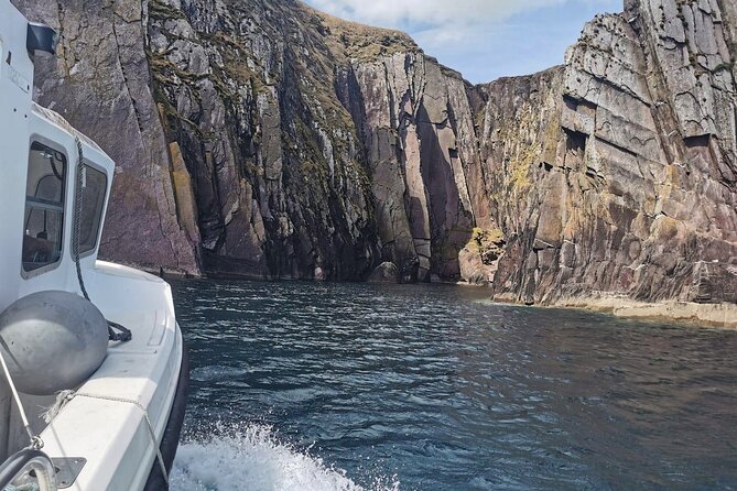 Private 1-Hour Guided Boat Tour in Dingle Peninsula - Traveler Photos and Reviews