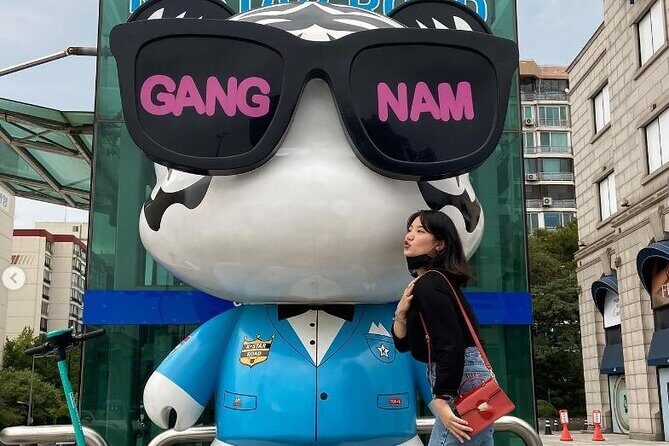 Private 1 Hour Tour in Seoul with Photoshoot - What’s Included and What’s Not