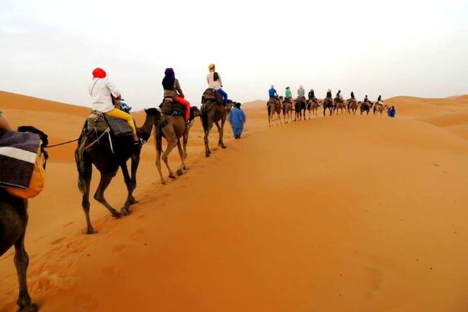 Private 1 Night 2 Day Desert Tour From Fes to Fes - Desert Camp Experience