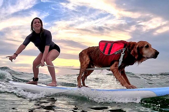 Private 1-On-1 Surfing Lesson With Videos and Photos - Traveler Photos