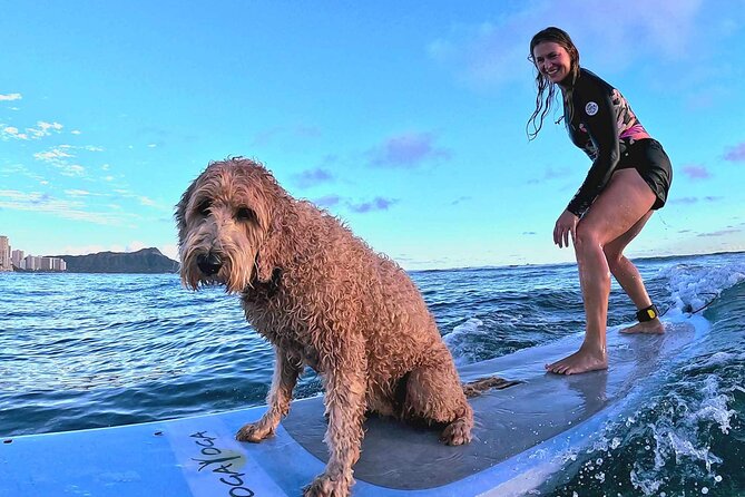 Private 1-On-1 Surfing Lesson With Videos and Photos - Directions