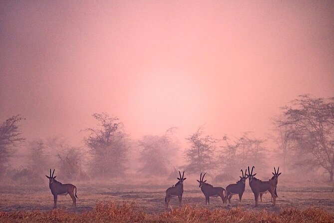 Private 10-day Mikumi Ruaha Selous Safari - Inclusions and Exclusions