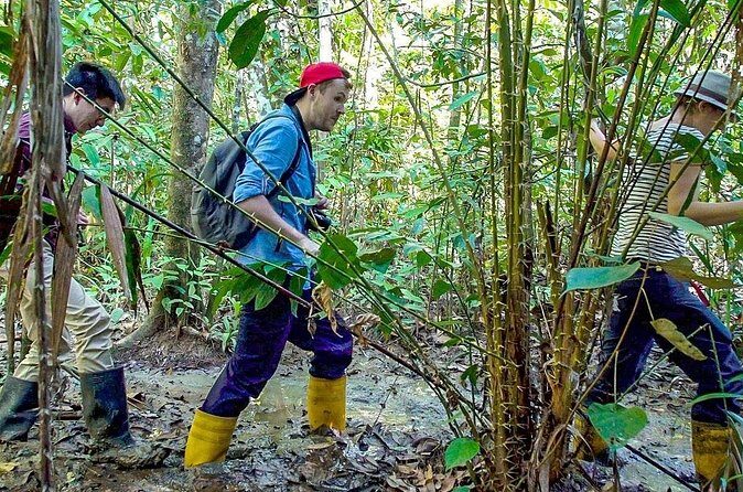 Private 10 Days Malaysia Borneo Wildlife Tour with Beach - FAQs