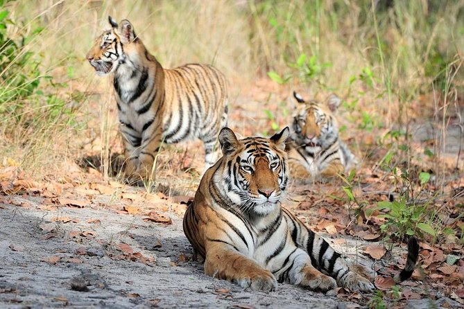 Private 10 Days Radiant Rajasthan Tour - Activities and Sightseeing